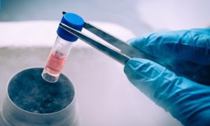 preservacion de la fertilidad a niñas y jovenes con cancer