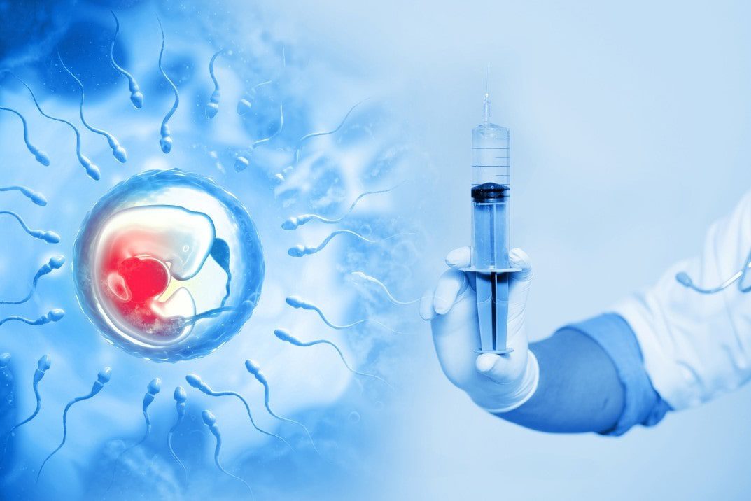 FRACASO IMPLANTACION