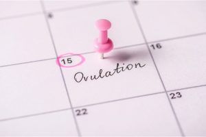 RELACIONES SEXUALES PROGRAMADAS