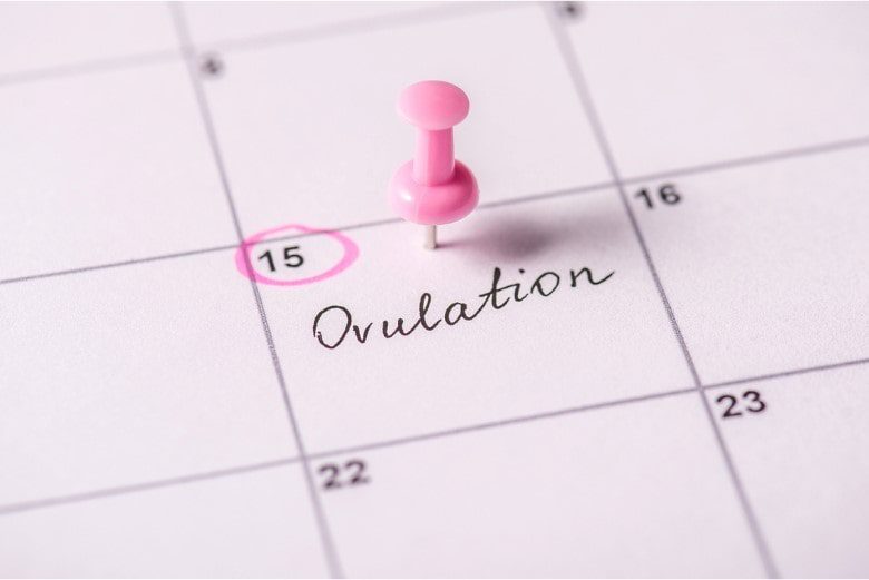 RELACIONES SEXUALES PROGRAMADAS